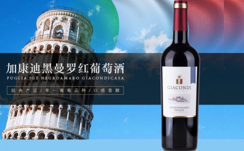 加康迪黑曼羅紅葡萄酒 加康迪半甜紅葡萄酒GIACONDI