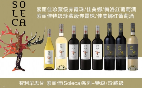 索麗佳特級珍藏佳美娜赤霞珠紅葡萄酒 智利畢思甘酒莊