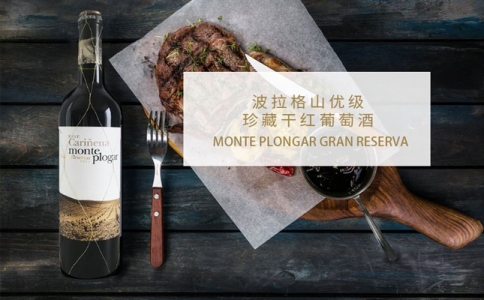 波拉格山優級珍藏干紅葡萄酒 Bodega Paniza
